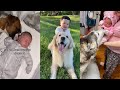 Special bond between dogs and babies🥰 | TikTok Compilation