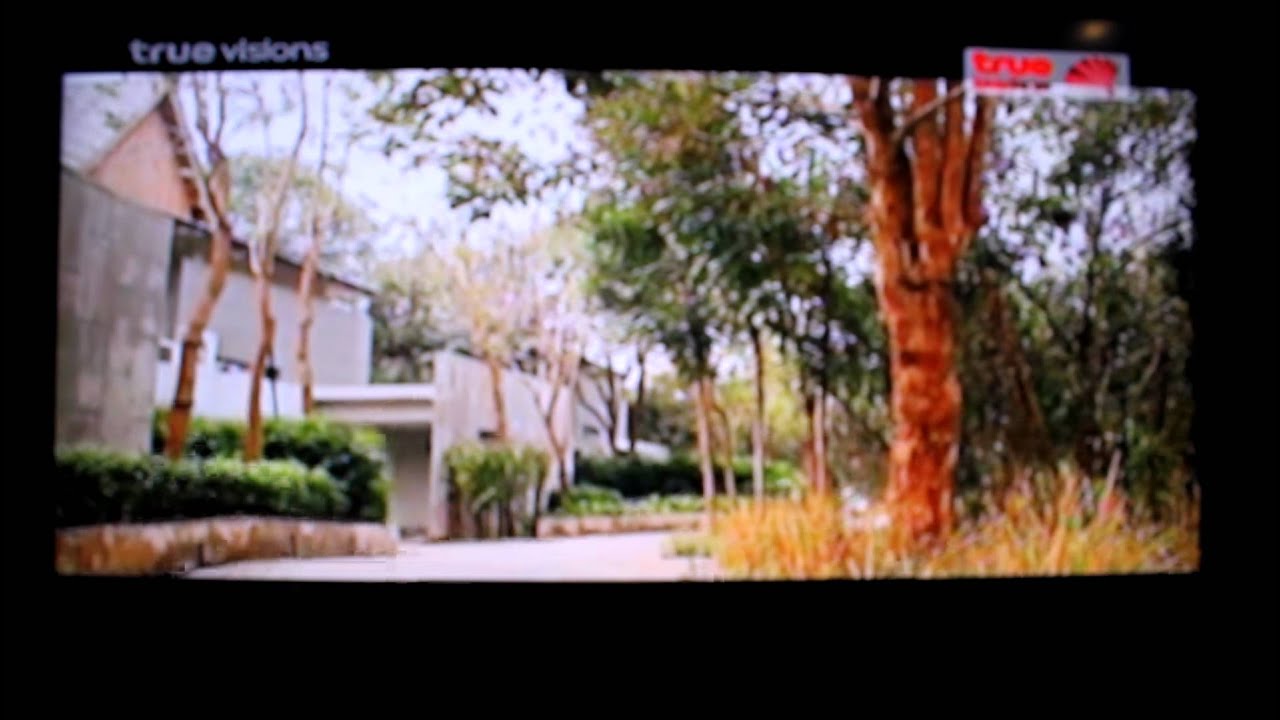 Coffee Prince Thai Version