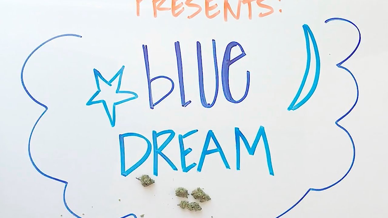 Blue Dream Strain Review