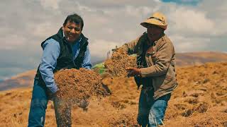 Perumin 2025 | Las Bambas