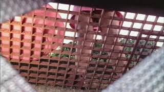 Video <span aria-label=