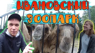 ИВАНОВСКИЙ ЗООПАРК / ДИКИЕ ЖИВОТНЫЕ / ZOO / ИВАНОВО