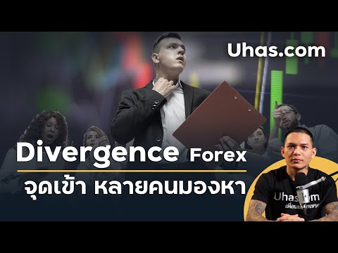 Divergence คืออะไร? จะหาจุดเข้า Forex จาก Divergence ได้อย่างไร