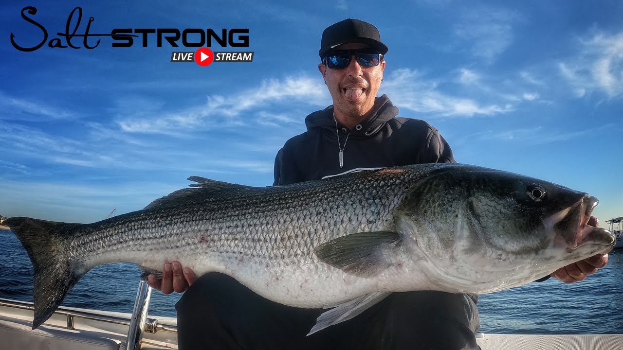 Targeting Fall Striped Bass with Capt. Scotty Sevins