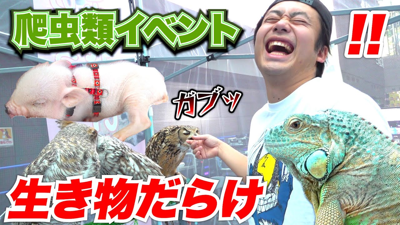 生き物だらけの大型イベントに行ったら刺激すんごいじゃん！！！！！