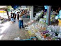 [4K] Walking around the beautiful fish market - Chatuchak Weekend Market, Bangkok