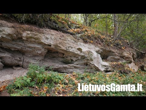 Video: Skirtumas Tarp Metamorfinių Ir Nuosėdinių Uolienų