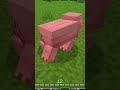 ESSE ADD-ON MUDOU O MEU MINECRAFT! ✨🐷