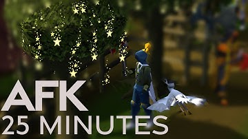 Change the OSRS AFK Logout Timer to 25 Minutes