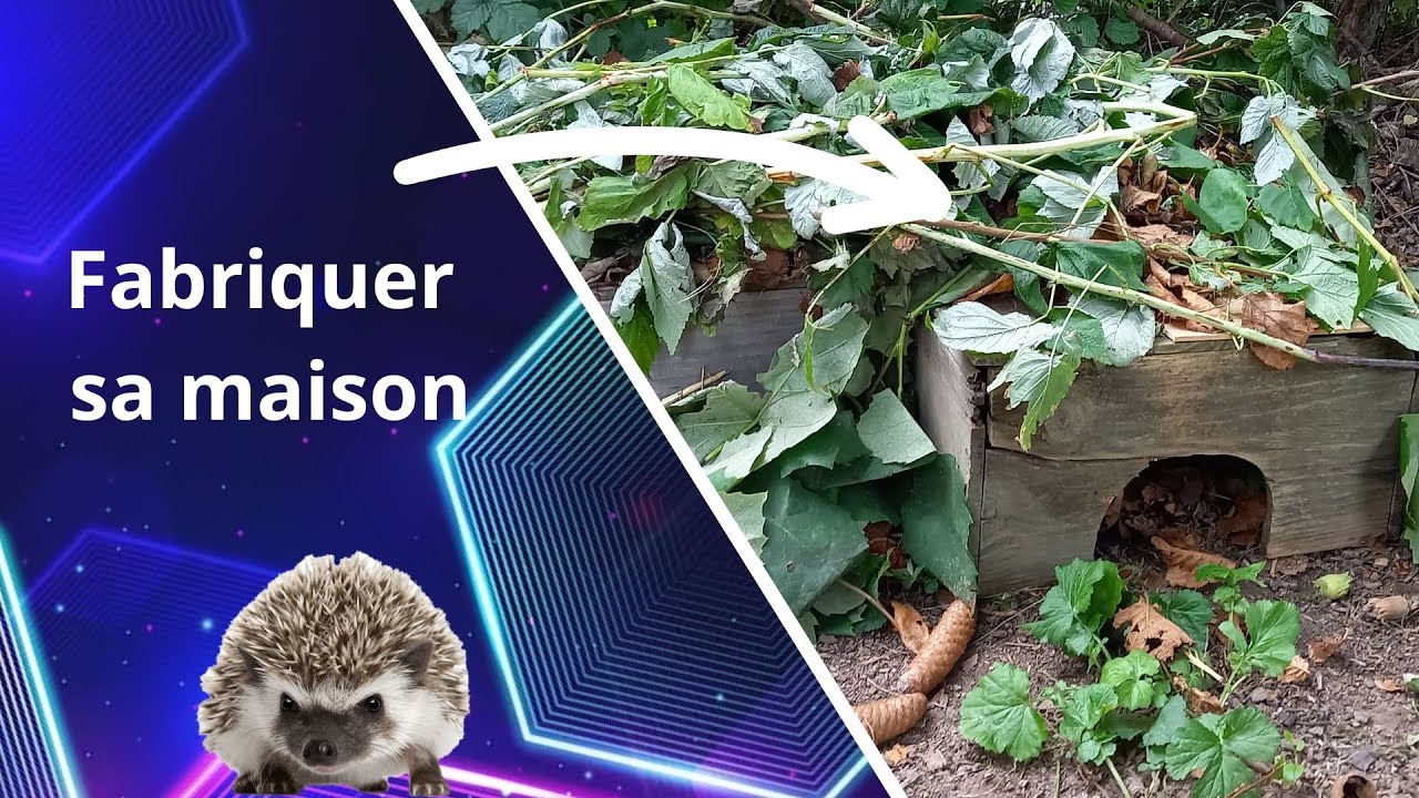 Tuto FABRIQUER UNE MAISON POUR HERISSON !!!! Facile - YouTube