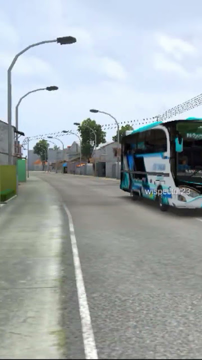 wp basuri