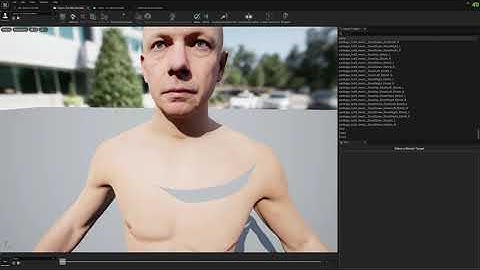 Mesh Morpher - Stitch Morph Targets