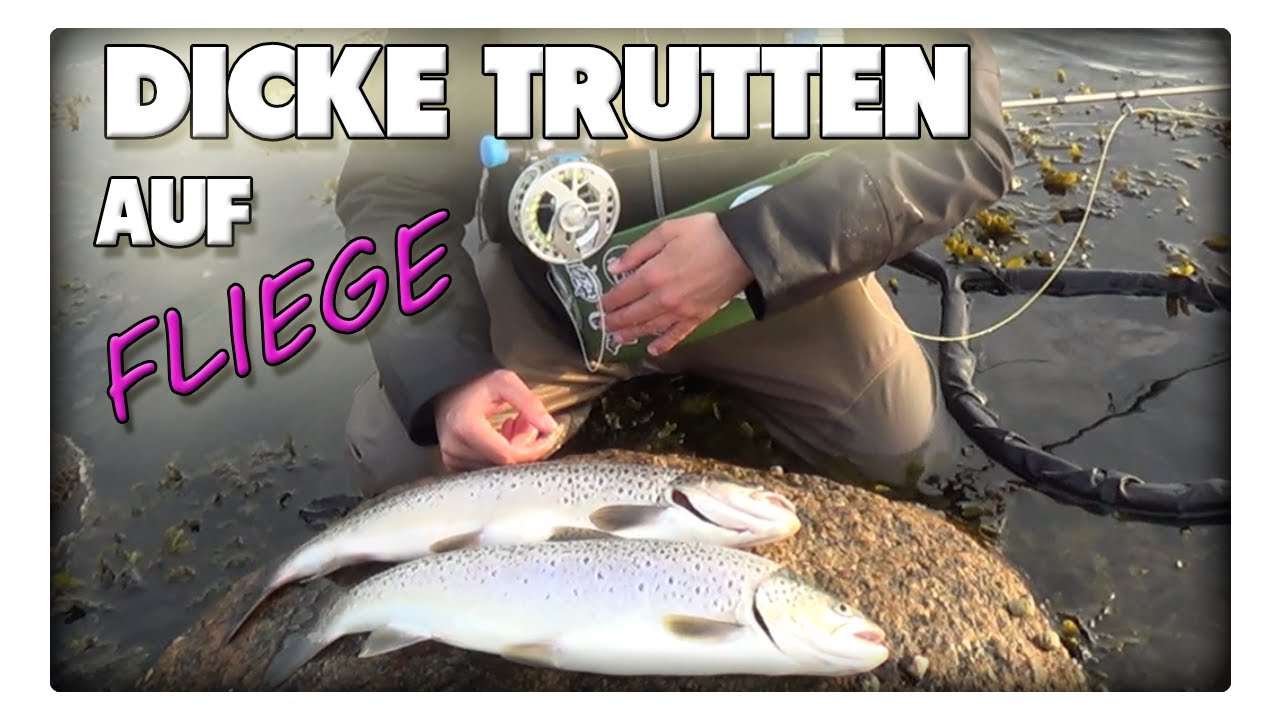 Meerforellen Marathon - 15 Stunden bis zur kompletten Erschöpfung und Troutigkeit