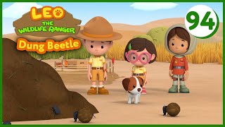 The Dung Beetle  Leo The Wildlife Ranger (Episode 94)