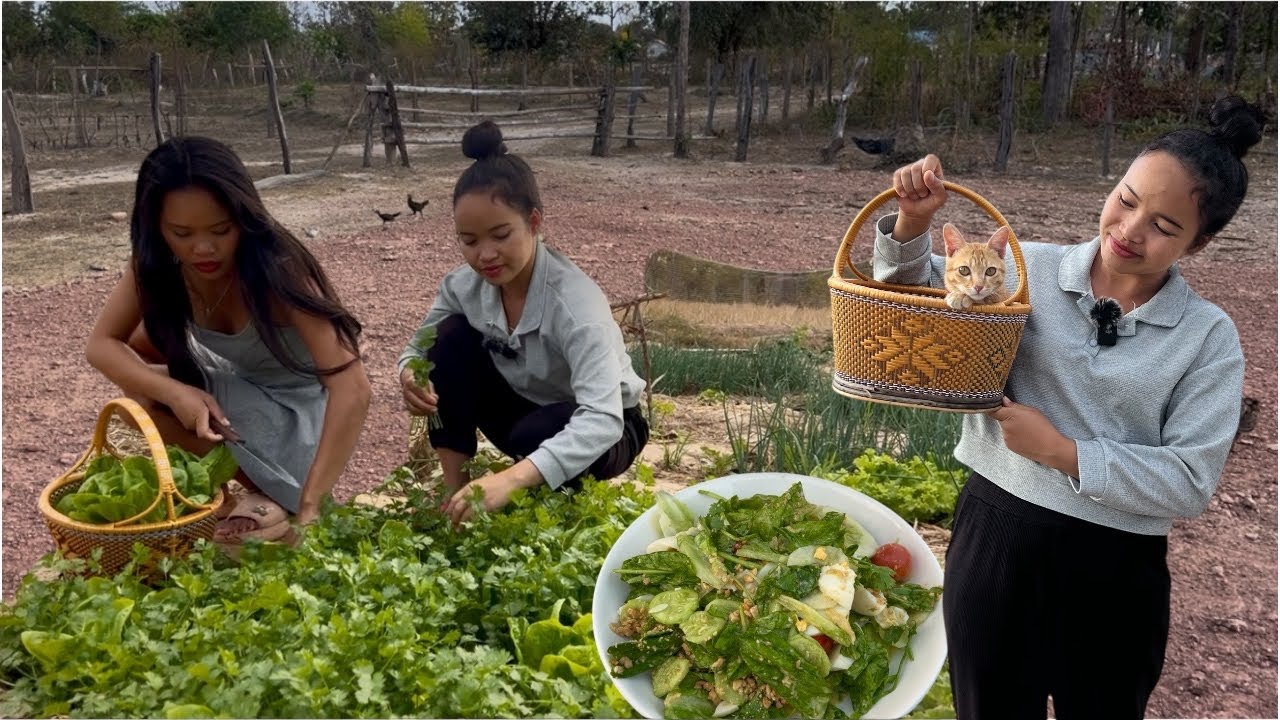 ຍຳສະຫຼັດໃສ່ໄຂ່ແດງ🇱🇦ยำสลัดไข่แดงเลี้ยงส่งน้องสาว Making Garden Salad