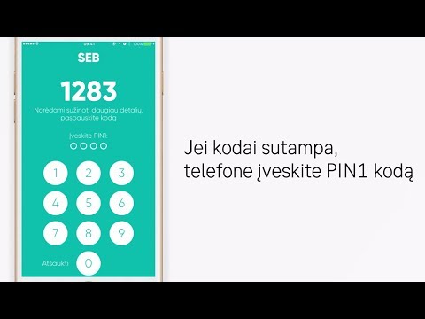 Video: Kaip Prisijungti Prie Interneto