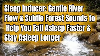 Gentle River Flow and Subtle Forest Sounds to Help You Fall Asleep Faster and Stay Asleep Longer