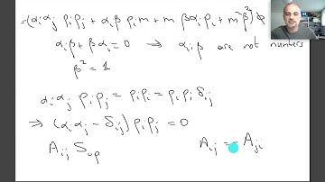 Phys541 Fermions Dirac Equation