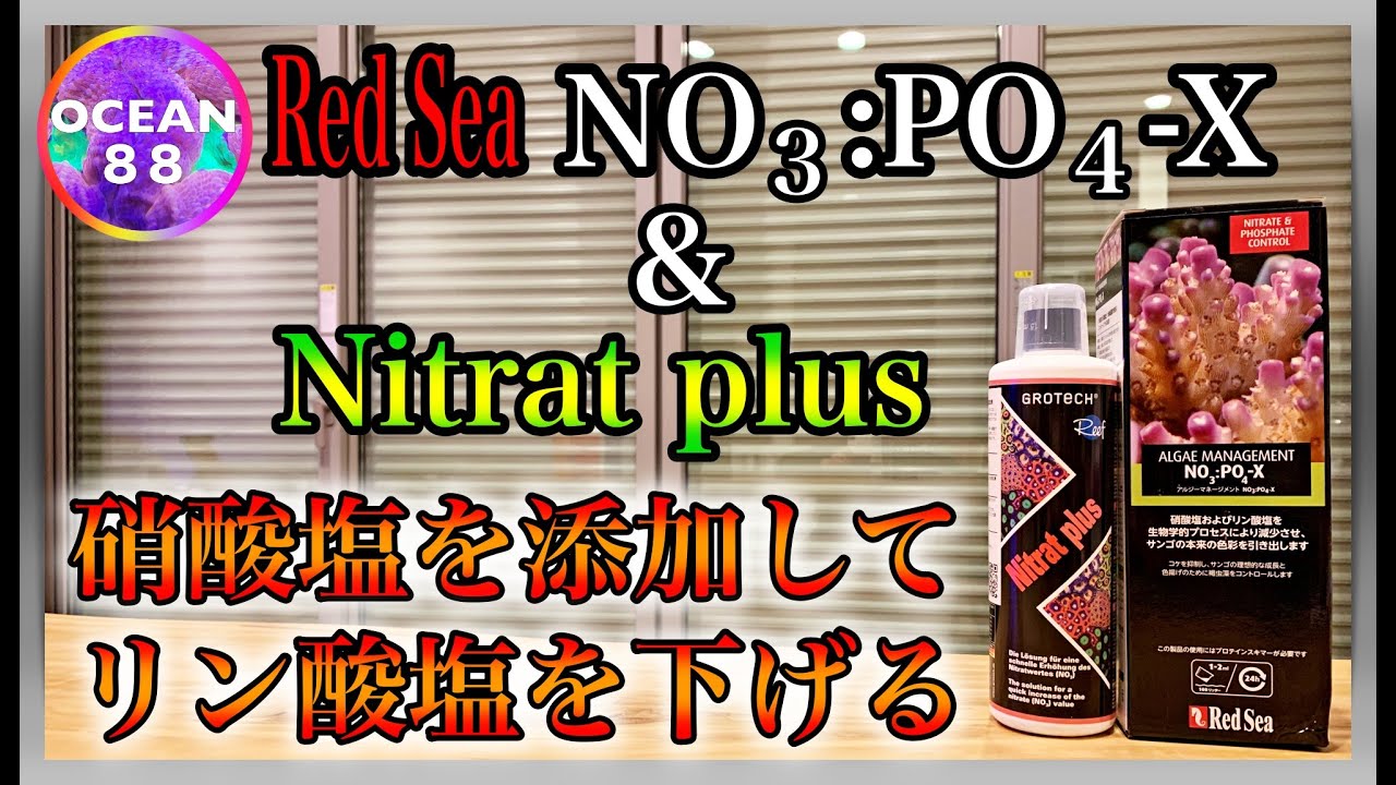 海水魚水槽 サンゴ水槽 Red Sea No3 Po4 X Grotech Nitrat Plus ナイトレイトプラス 硝酸塩を添加してリン酸塩を下げる Youtube