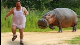 Funniest Animals Scaring People Reactions of 2019 Weekly Compilation 🐢🐪🐏🐍 Funny Pet Videos