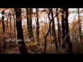 جديدي انت 🎶