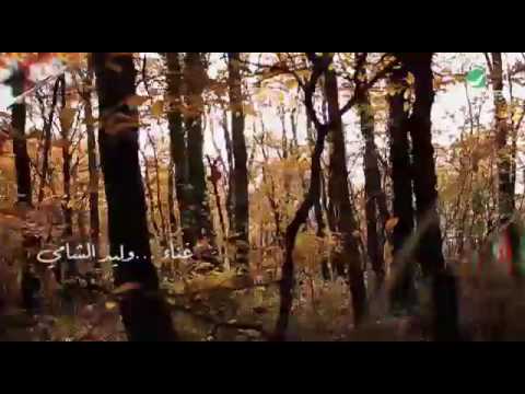 جديدي انت 
