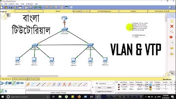 VLAN VTP ||  Bangla Tutorial || CCNA Module 02 ||