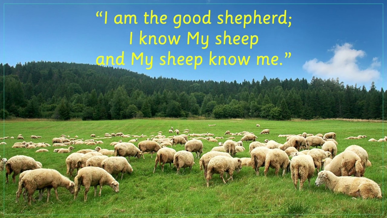 Sheep May Safely Graze - YouTube