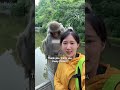 Monkey cleans up woman’s hair in China