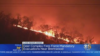 DEER COMPLEX FIRE:  Evacuations ordered for 150 homes as Deer Complex Fire Rages Out Of Control