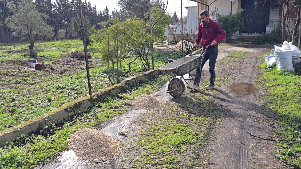 اليوم ظبطت غرفة الحمام وبلشت قلم ورد الجوري والدنيا شتت كتير والطريق غرق