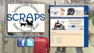 SCRAPS Goes Regional