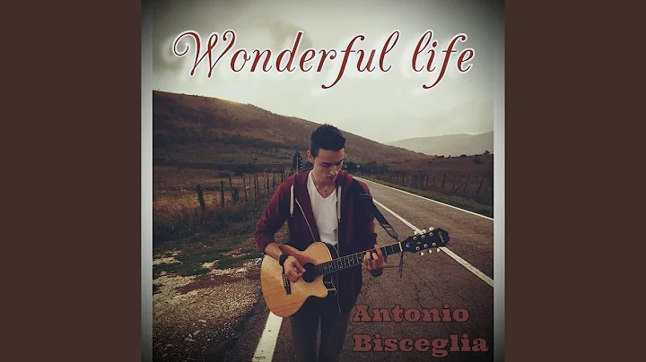 Wonderful Life