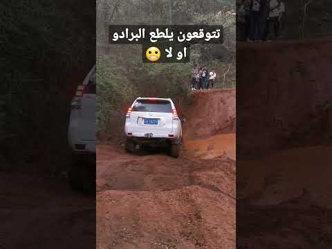 لاندكروزر برادو سيارات ابوخالد شورت Shorts