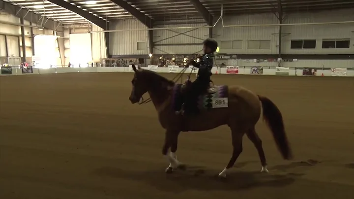 170819 Cora Bowman on Jerry Lee Cowboy SS