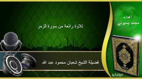 فضيلة الشيخ شعبان محمود عبد الله " سورة الزمر " تلاوة خاشغة جدا