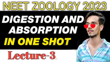 Digestion and Absorption in Lecture 3 | All Theory, Tricks & PYQs | Zoology in 30 Days | Day 5 |NEET