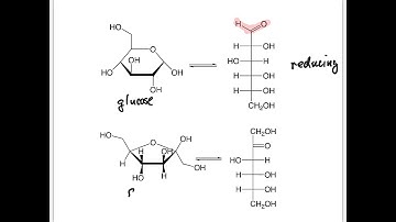 Reducing and Nonreducing Sugars