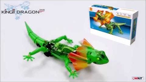 Kingii Dragon Robot Kit