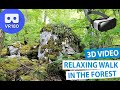 3D Relaxing Walk in The Forest VR180