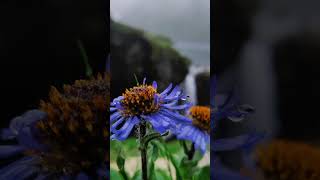 Nature want to??????? #ancient #travel #edmplaylists #china #nature #music #beautiful #bangladesh