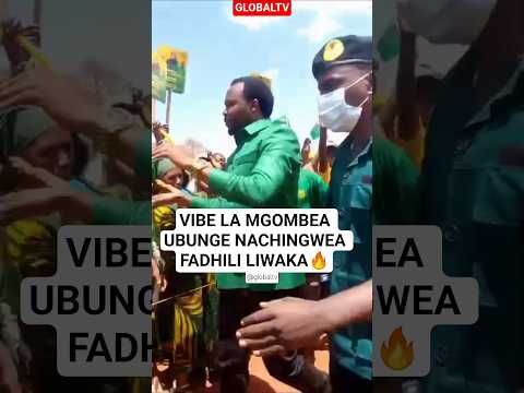 VIDEO VIBE LA MGOMBEA UBUNGE NACHINGWEA FADHILI LIWAKA Ccm Globaltv Shortvideo Mgombea übunge