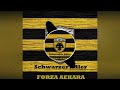 Schwarzer adler  forza aekara