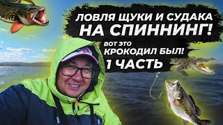 видео: РЫБАЛКА НА ЩУКУ. Рыбалка 2021. Судак на джиг 2021. ЛОВЛЯ ЩУКИ И СУДАКА НА СПИННИНГ. fishing. ЧАСТЬ 1 картинка: РЫБАЛКА НА ЩУКУ. Рыбалка 2021. Судак на джиг 2021. ЛОВЛЯ ЩУКИ И СУДАКА НА СПИННИНГ. fishing. ЧАСТЬ 1