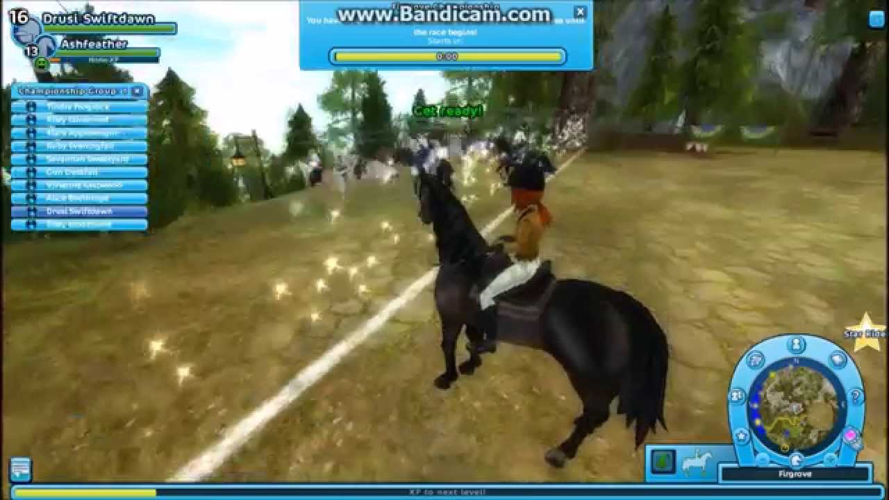 Star Stable Firgrove Championship Glitch!? YouTube