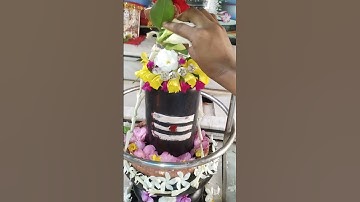 एक बेलपत्र और सात कनेर के पुष्प का उपाय #pradeepmishraji #mhadevbhakt #shivmahapurankatha #shivling