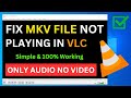 How To Fix VLC Not Playing MKV File In Laptop | Only Audio No Video | MKV File Not Playing Computer