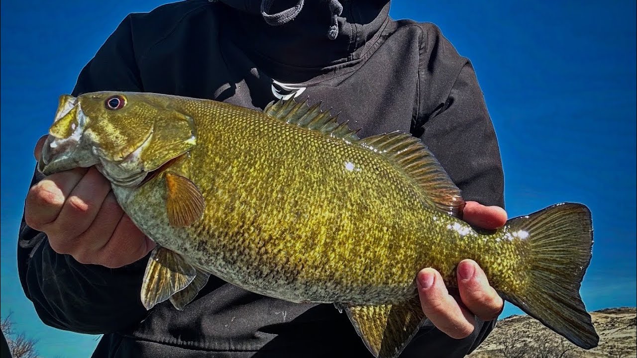 Snake River bass fishing
