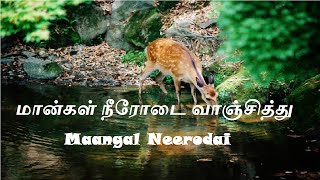 Video thumbnail of "Maangal Neerodai song  |  Maangal Neerodai Vaanjithu | Tamil Christian Song  | Yesu Podhumae Vol 1"