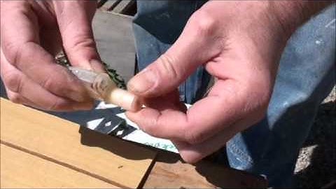 Beekeeping : How To Install A Package Of Bees